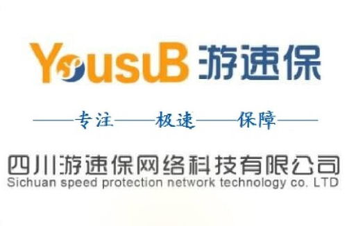 四川游速保网络科技