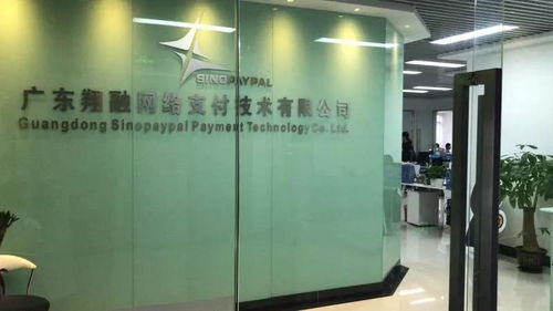 广东翔融网络支付技术